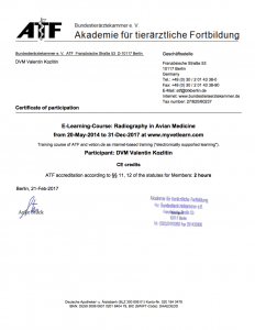 сертификат о повышении квалификации в рентгенологии птиц ветеринарного врача Валентина Козлитина специалиста по лечению птиц