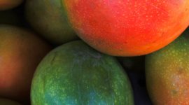 манго как корм для попугаев