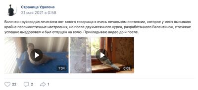 отзыв о лечении горлицы онлайн ветеринарным врачом Козлитиным Валентином