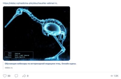 Отзыв ветеринарного врача Мультановской о вебинаре по рентгенологии птиц Валентина Козлитина