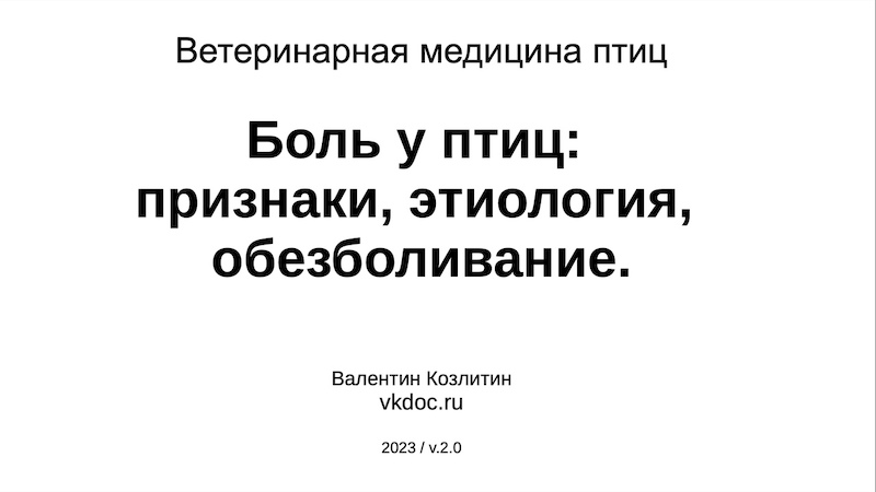 семинар, мастер-класс по анальгезии и обезболивании птиц