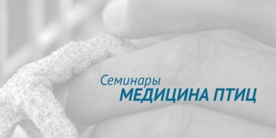 Семинары для ветеринарных врачей, обучение лечению птиц