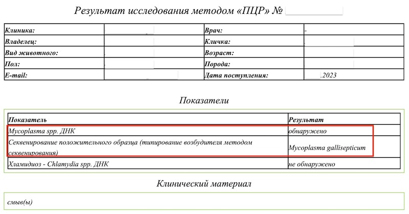 микоплазмоз птиц опасен для человека. ПЦР анализы.